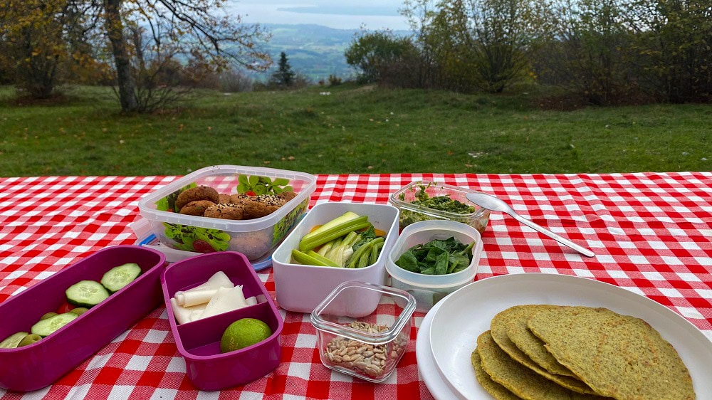 picnic in nature