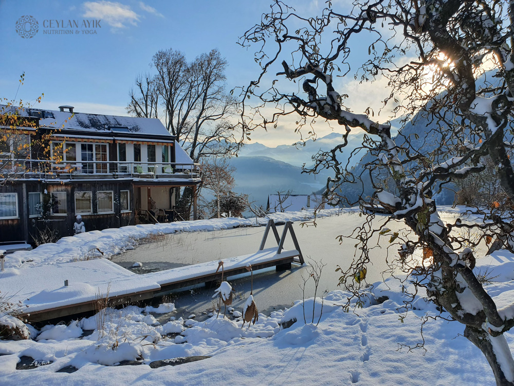 Winter Ayurveda & Yoga Retreat in Swiss Alps (16)