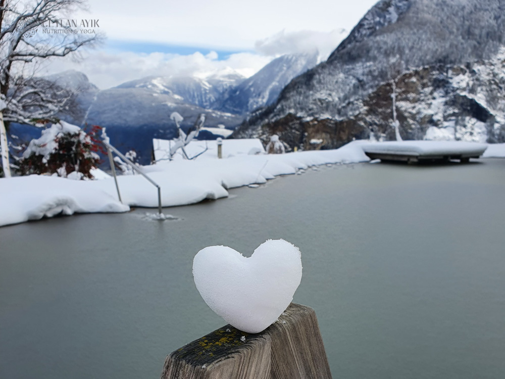 Winter Ayurveda & Yoga Retreat in Swiss Alps (16)