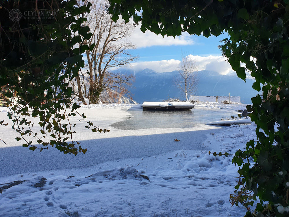 Winter Ayurveda & Yoga Retreat in Swiss Alps (16)
