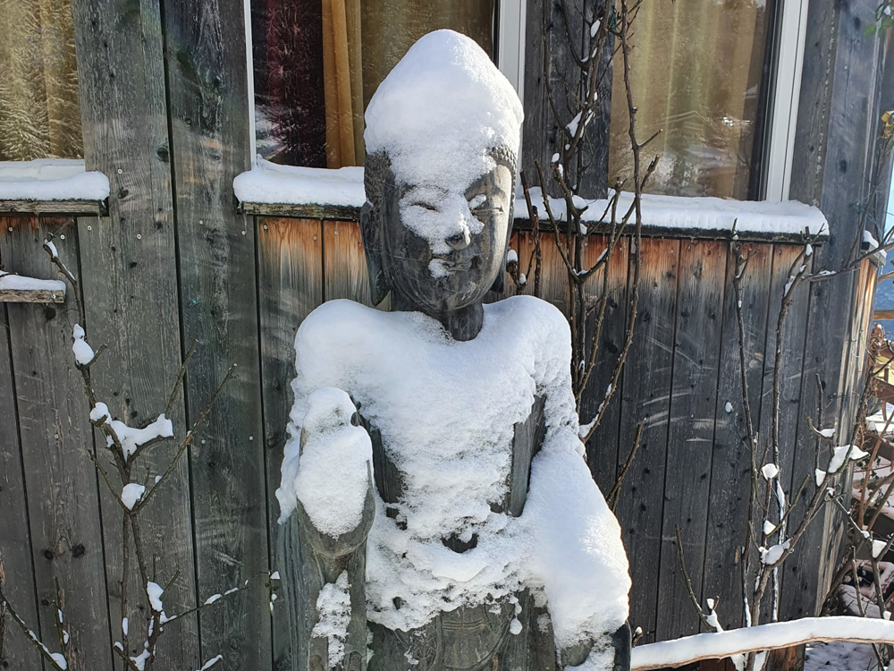 Winter Ayurveda & Yoga Retreat in Swiss Alps (16)