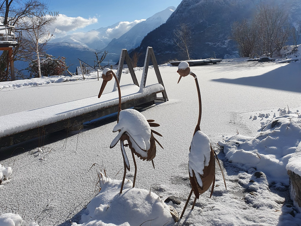 Winter Ayurveda & Yoga Retreat in Swiss Alps (16)