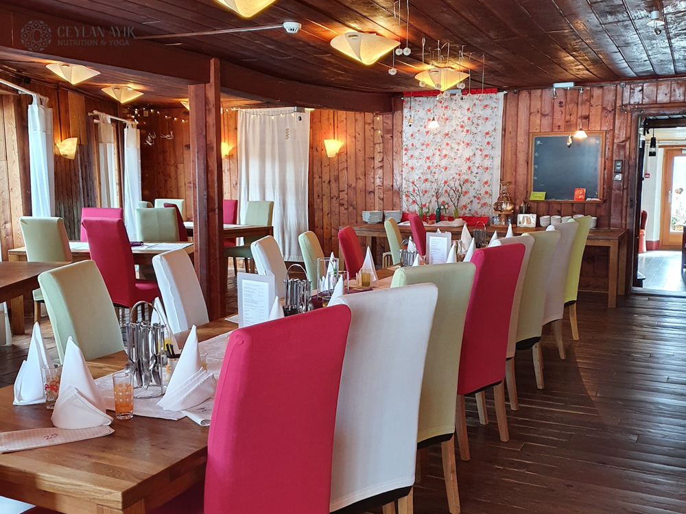 Winter Ayurveda & Yoga Retreat in Swiss Alps (16)