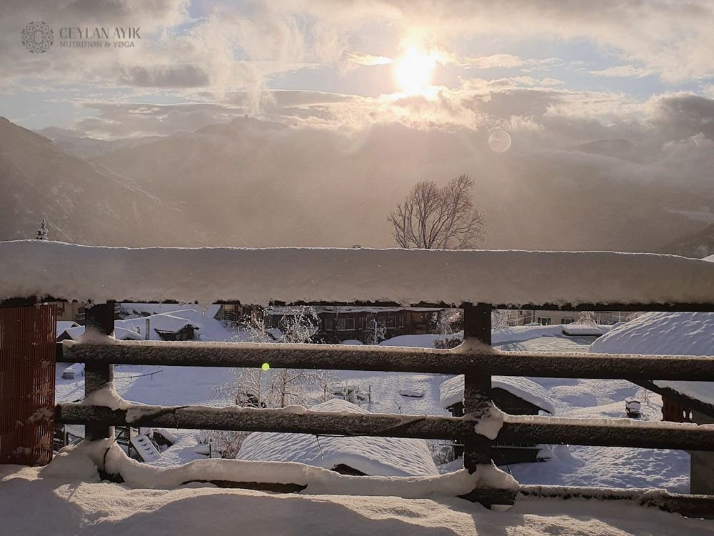 Winter Ayurveda & Yoga Retreat in Swiss Alps (16)